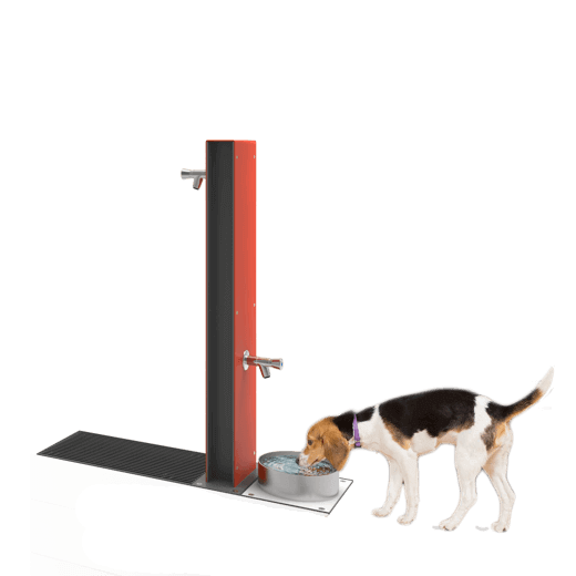 Fontis Dog