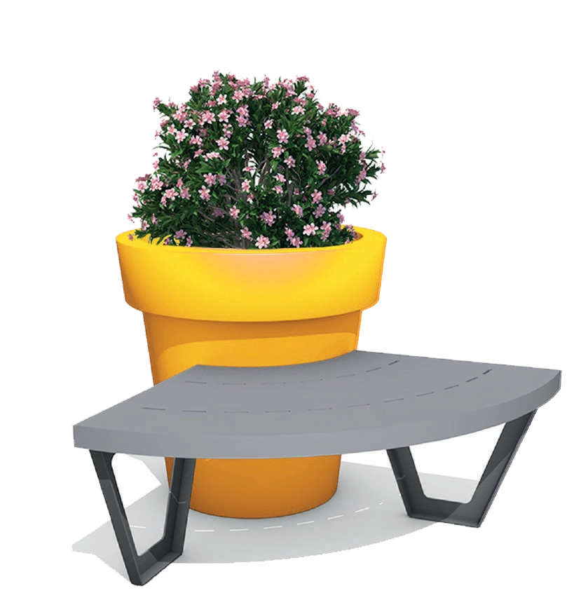 Quarter pink – Gianto